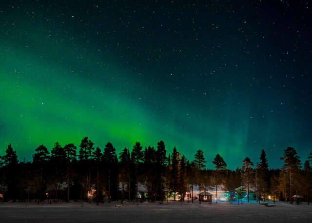 Revontulia yötaivaalla metsän ja rakennusten yllä