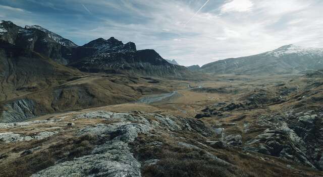 Greina patrcik thurston aron nick jpg