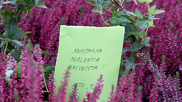 Puutarhakaupunkia-tutkimassa