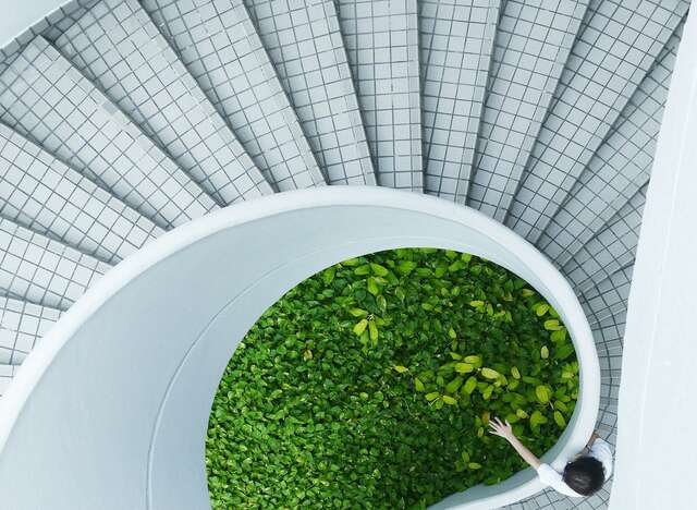 Light stairwell pictured from above with plants in the middle.
