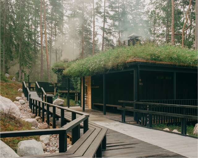 Puinen saunarakennus metsämaisemassa, saunan katolla kasvaa niittyä.