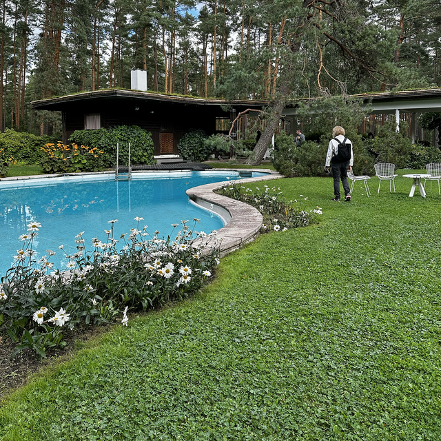 A grass-covered yard in a pine forest, with a turquoise organicly-shaped pool and a low wooden house and canopy on its perimeter.
