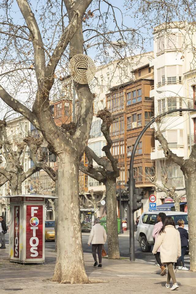 View of a city street with trees and a birdhouse.