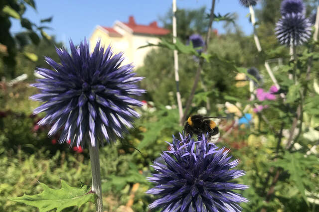 Ekokompassi kansikuva Sini